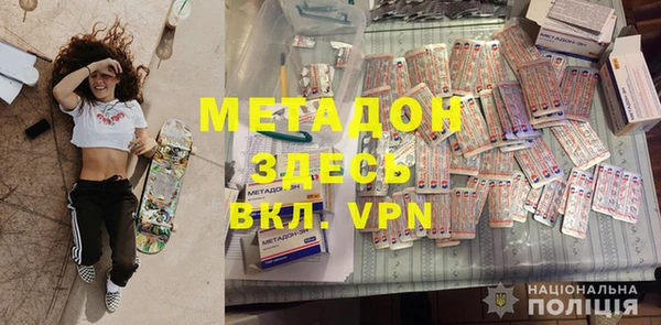 индика Няндома