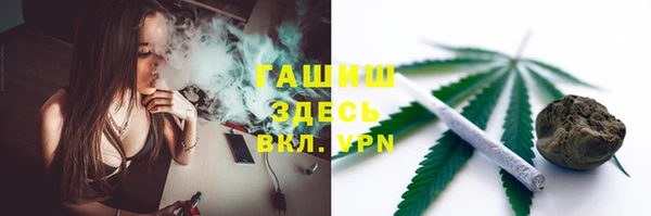 индика Няндома