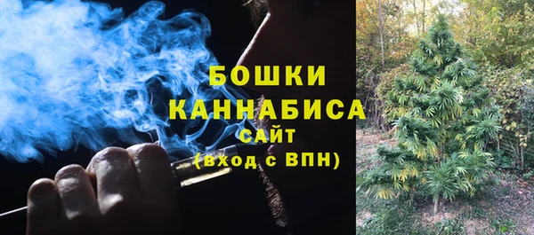 индика Няндома