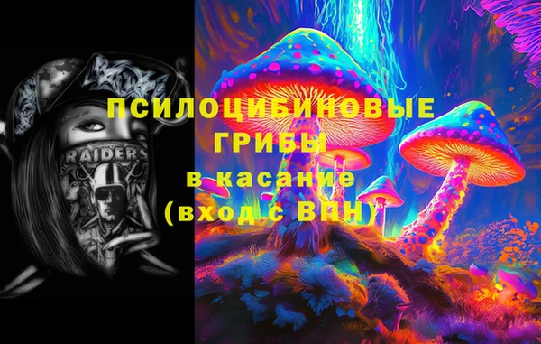 тгк Абинск