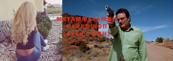 индика Няндома